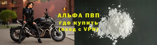 прущие грибы Осинники