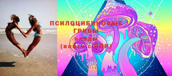 прущие грибы Осинники
