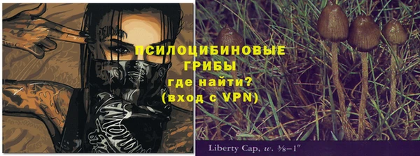 прущие грибы Осинники