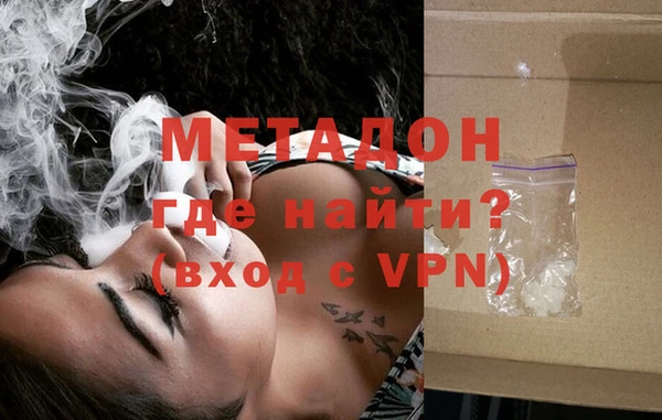 прущие грибы Осинники