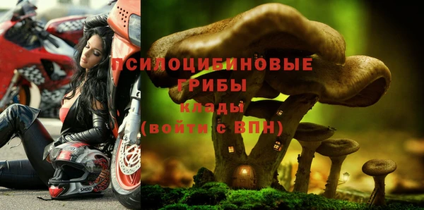 гидра Видное