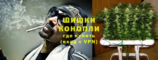 прущие грибы Осинники