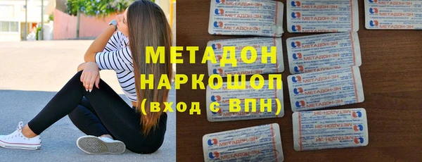 прущие грибы Осинники